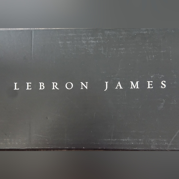 NWT Nike Lebron James Oregon Ducks Shoes Size 7.5M/8W - Picture 8 of 8